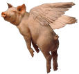 When Pigs Fly